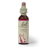 Bach Flower Remedies Larch Flower Essence 20 ml