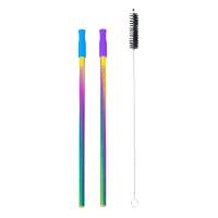 EcoVessel Rainbow Straw Set Pack of 2
