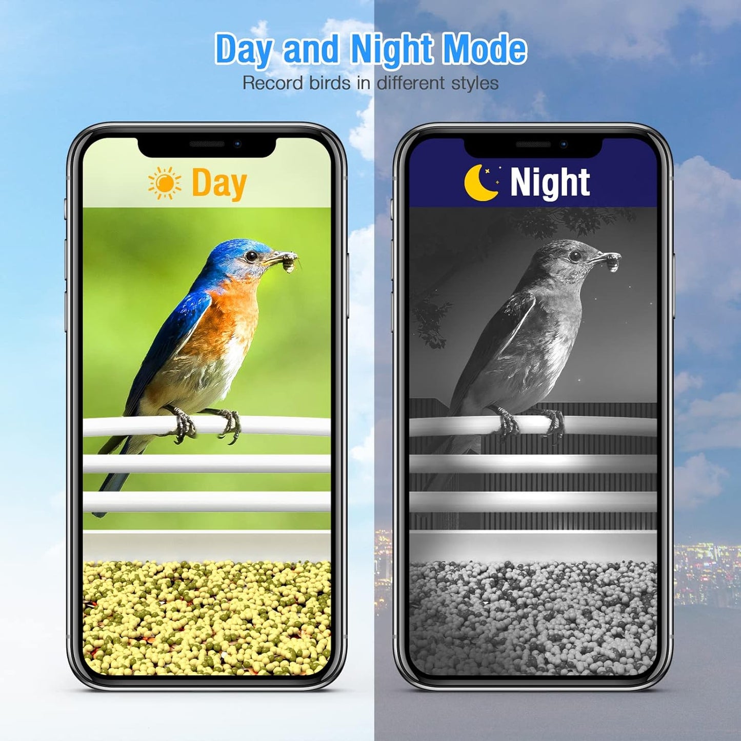 isYoung Smart Bird Feeder with Camera, Free AI Forever, Identify Bird Species, Solar Powered, Auto Capture & Notify, Ideal Gift for Bird Lovers