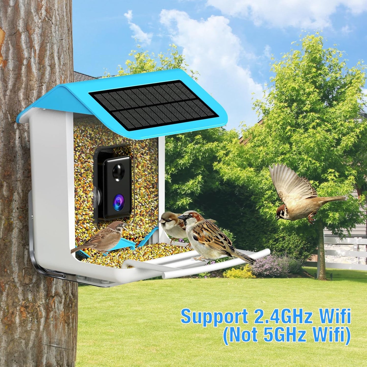 isYoung Smart Bird Feeder with Camera, Free AI Forever, Identify Bird Species, Solar Powered, Auto Capture & Notify, Ideal Gift for Bird Lovers