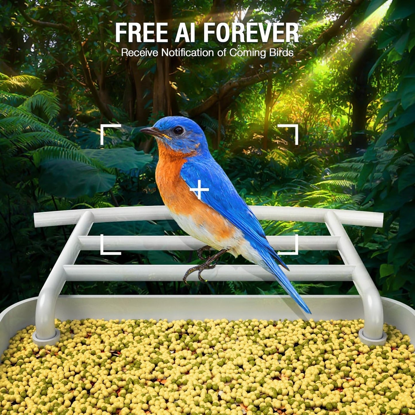 isYoung Smart Bird Feeder with Camera, Free AI Forever, Identify Bird Species, Solar Powered, Auto Capture & Notify, Ideal Gift for Bird Lovers