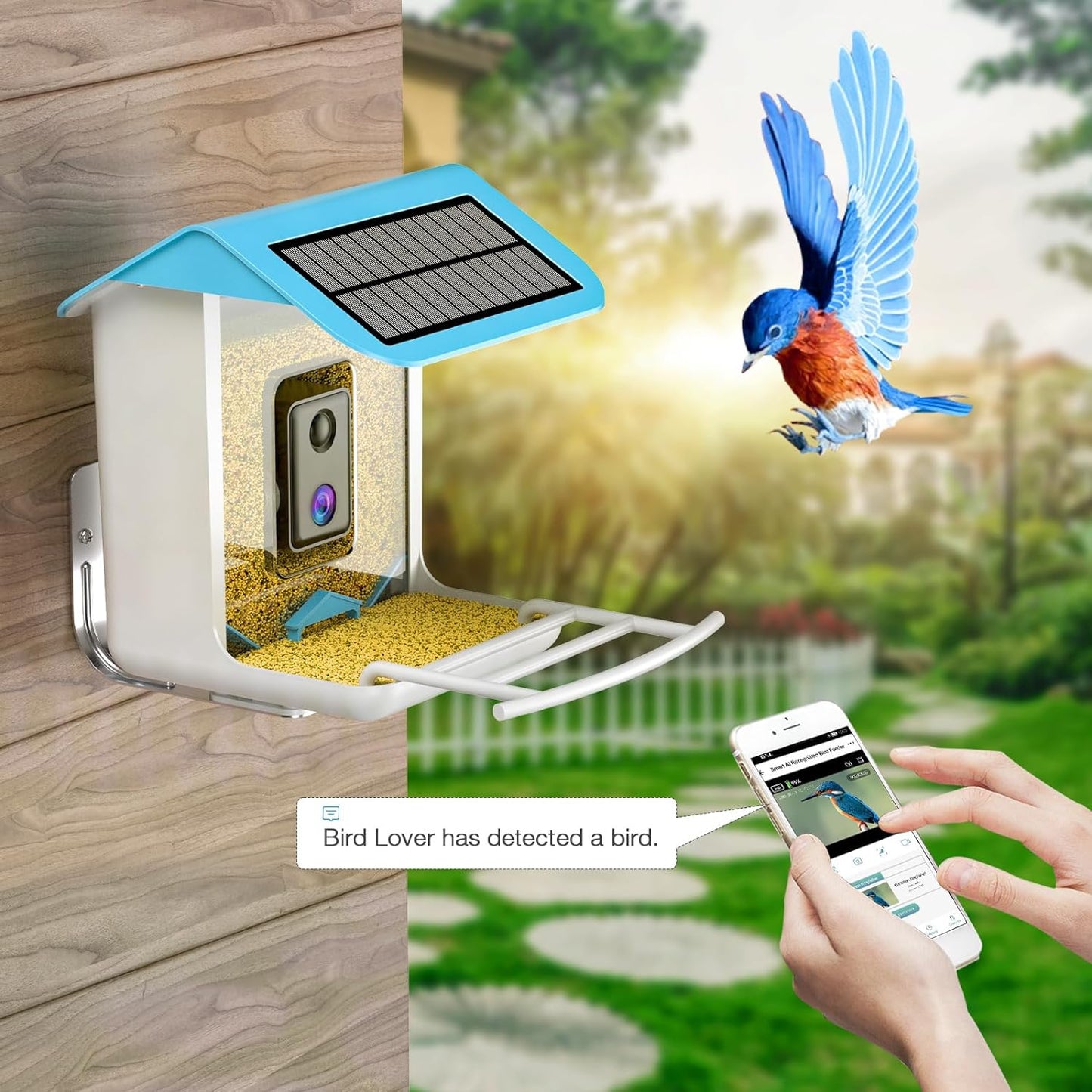 isYoung Smart Bird Feeder with Camera, Free AI Forever, Identify Bird Species, Solar Powered, Auto Capture & Notify, Ideal Gift for Bird Lovers